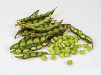 Picture of Pigeon pea (Tuver)