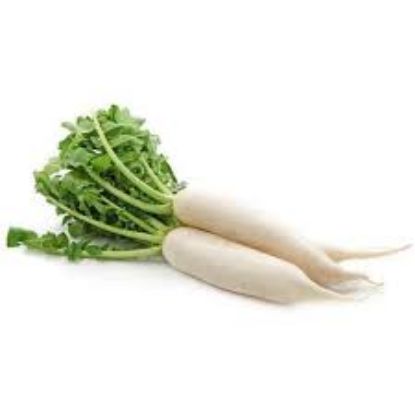 Picture of white radish ( muli )