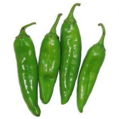 Picture of Vadhvani chilli 