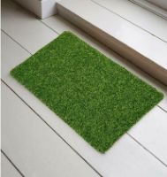 Picture of Green Grass Doormate Size (16x24) 