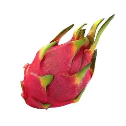 Picture of Dragon Fruit 1pcs